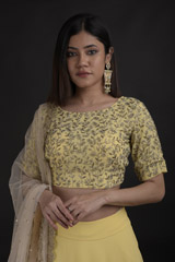 Yellow Embroidered Lehenga Set_DTR0747