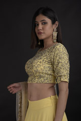 Yellow Embroidered Lehenga Set_DTR0750