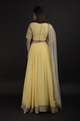 Yellow Embroidered Lehenga Set_DTR0755