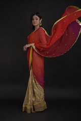 Pink Embellished Saree