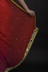 Pink Embellished Saree_DTR0974