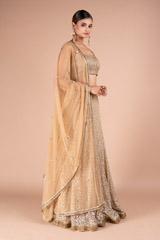 Gold Sheet Antique Sequins LehengaDSC05345