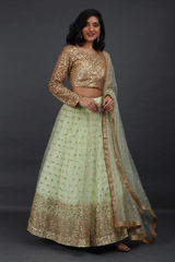 Mint Green Net Lehenga