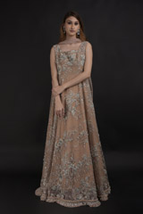 Beige Embellished Gown_DTR0725