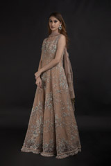 Beige Embellished Gown_DTR0729
