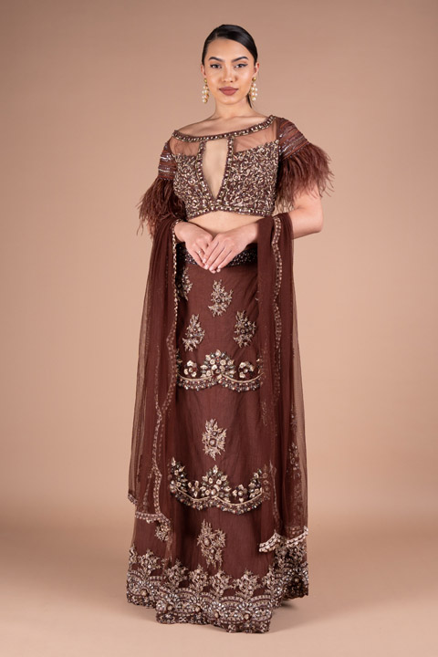 Brown Embellished Lehenga