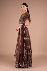 Brown Embellished LehengaDSC05463