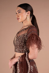 Brown Embellished LehengaDSC05464