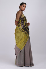 Multi Color Striped SareeIMG_3849