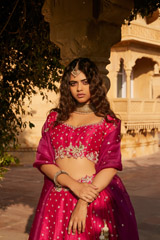 Magenta Raw Silk Cutwork Embroidered Lehenga2