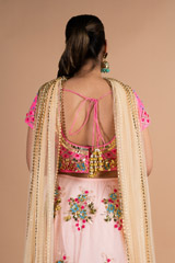 Blush Pink Net LehengaDSC09794