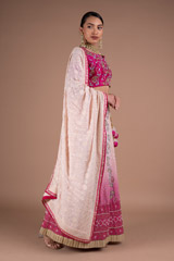 Shades Of Pink Ombre Lehenga SetDSC05571