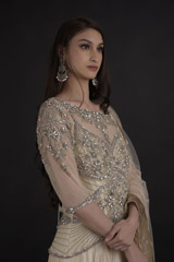 Beige Embellished Gown_DTR0097