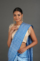 Blue Saree With Silver ChecksIMG_5023