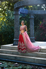 Red Raw silk Zardosi Lehenga_DSC6875