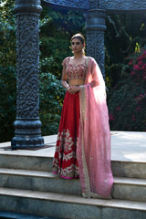Red Raw silk Zardosi Lehenga_DSC6892