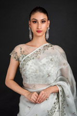 Mint Organza Saree_DSC4586-Edit