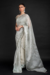 Mint Organza Saree_DSC4590-Edit