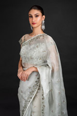 Mint Organza Saree_DSC4591-Edit