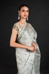 Mint Organza Saree_DSC4592-Edit