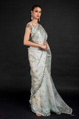 Mint Organza Saree_DSC4593-Edit