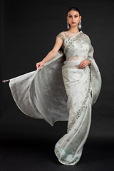 Mint Organza Saree