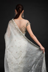 Mint Organza Saree_DSC4599