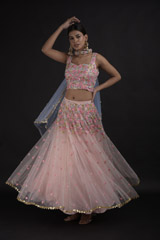 Blush Sequin Tulle Lehenga