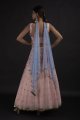 Blush Sequin Tulle Lehenga_DTR8828