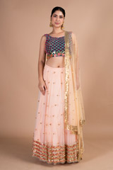 Beige Bead Work LehengaDSC09775