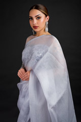 Grey Organza Saree_DSC4575-Edit
