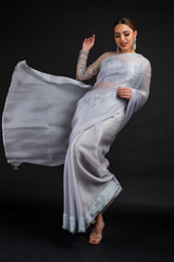 Grey Organza Saree_DSC4580-Edit