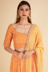 Pumpkin Orange Lehenga SetDSC01654