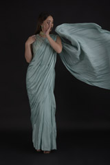 Green Cerulean Saree Gown