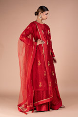 Maroon Zardozi Kurta LehengaDSC05331