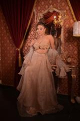 Bronze Organza Ruffled Lehenga