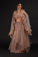 Bronze Organza Ruffled LehengaIMG_0861