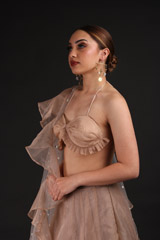 Bronze Organza Ruffled LehengaIMG_0873