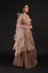 Bronze Organza Ruffled LehengaIMG_0874