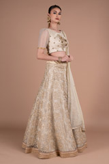 Gota Embriodered Lehenga  With DupattaDSC05936