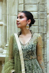 Green Net Anarkali SuitIMG_9169