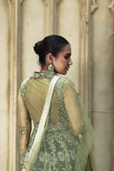 Green Net Anarkali SuitIMG_9252