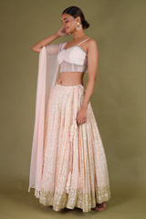 Peach Corset LehengaDSC07024