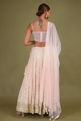 Peach Corset LehengaDSC07029