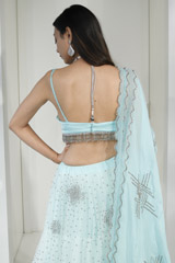 Net Gathered Lehenga