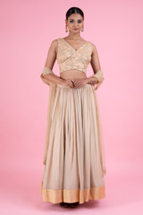 Golden Embroidered LehengaDSC02972