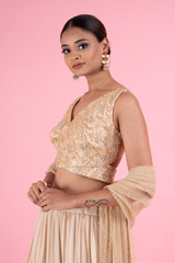 Golden Embroidered LehengaDSC02974