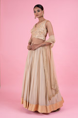 Golden Embroidered LehengaDSC02975