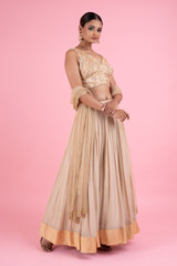 Golden Embroidered LehengaDSC02978