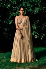 Golden Embroidered Lehenga_DSC6933